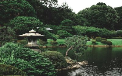 Ogród w stylu japońskim – sekrety projektowania