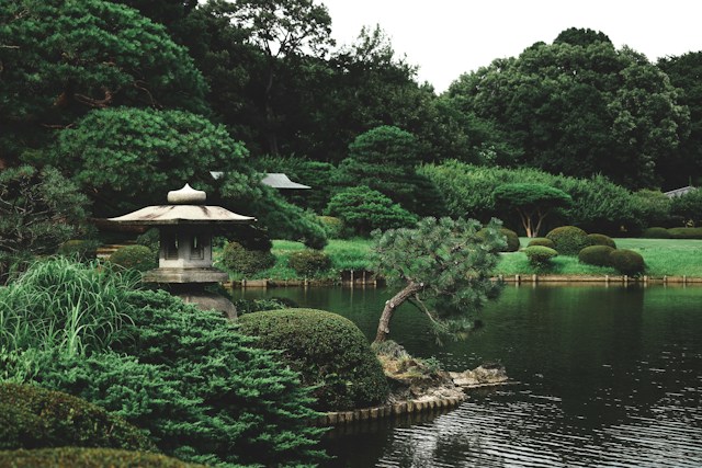 Ogród w stylu japońskim – sekrety projektowania